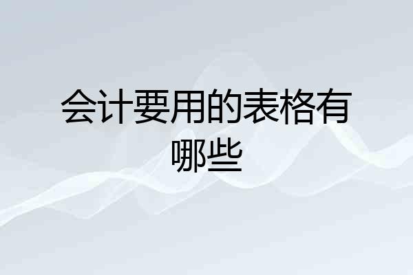 会计要用的表格有哪些