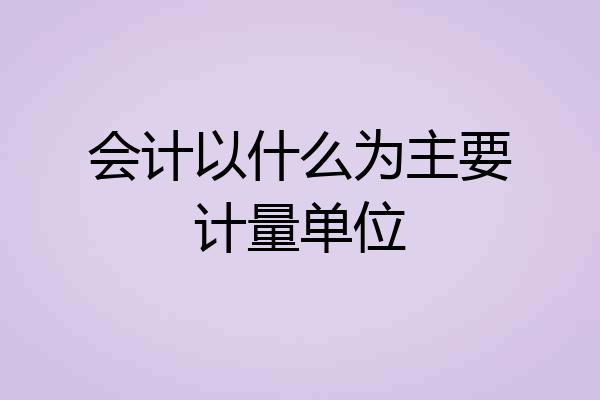 会计以什么为主要计量单位