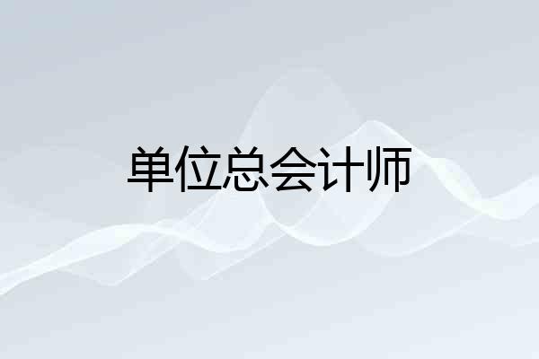 单位总会计师