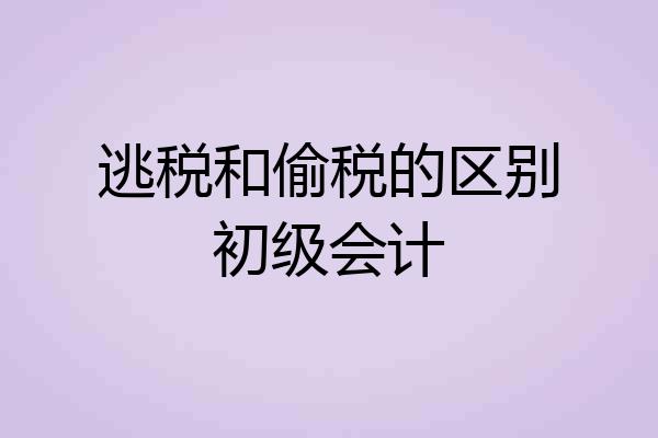 逃税和偷税的区别初级会计