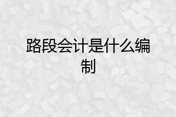 路段会计是什么编制