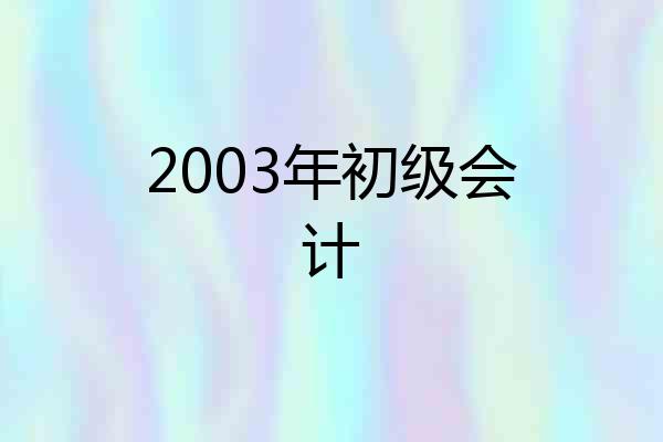 2003年初级会计