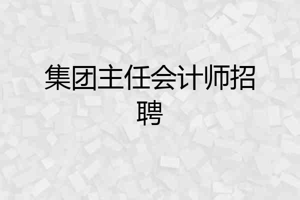集团主任会计师招聘