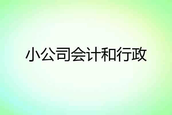 小公司会计和行政