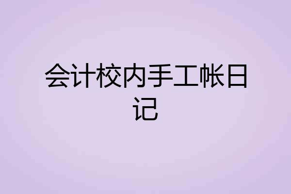 会计校内手工帐日记