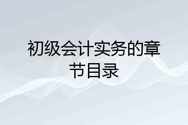 初级会计实务的章节目录