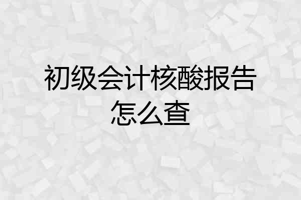 初级会计核酸报告怎么查