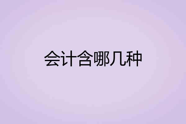 会计含哪几种
