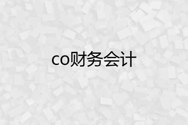 co财务会计