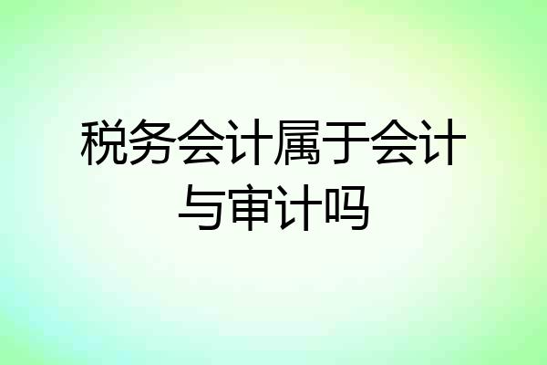 税务会计属于会计与审计吗