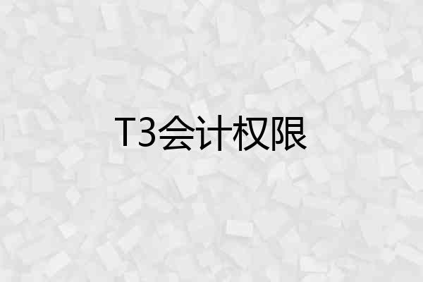 T3会计权限