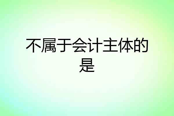 不属于会计主体的是