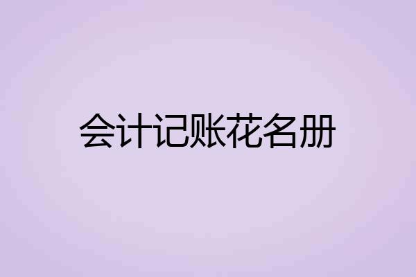 会计记账花名册