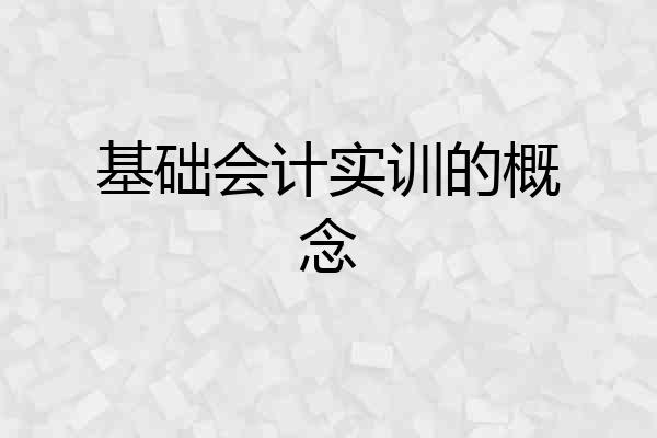 基础会计实训的概念