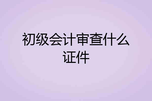 初级会计审查什么证件