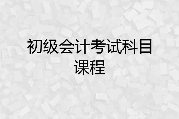 初级会计考试科目课程