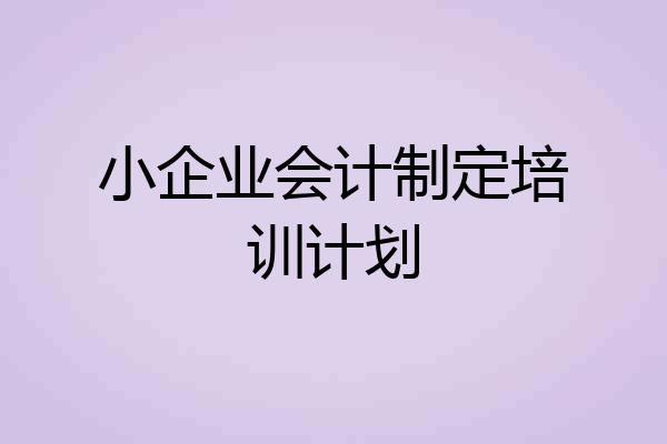 小企业会计制定培训计划