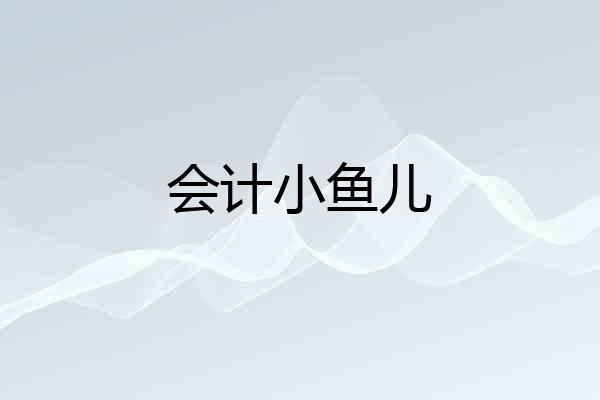会计小鱼儿