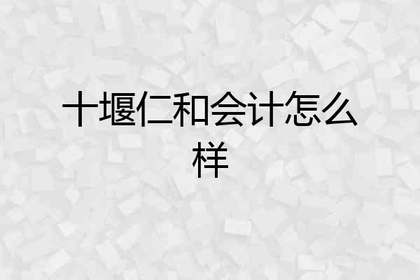 十堰仁和会计怎么样
