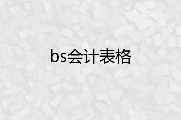 bs会计表格