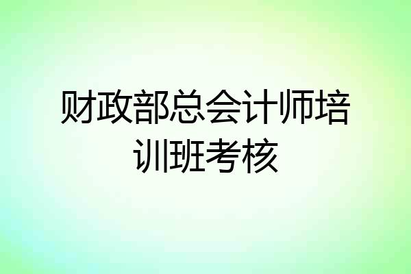 财政部总会计师培训班考核