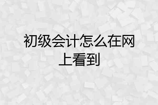 初级会计怎么在网上看到