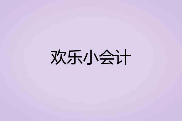 欢乐小会计
