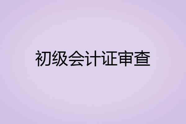 初级会计证审查