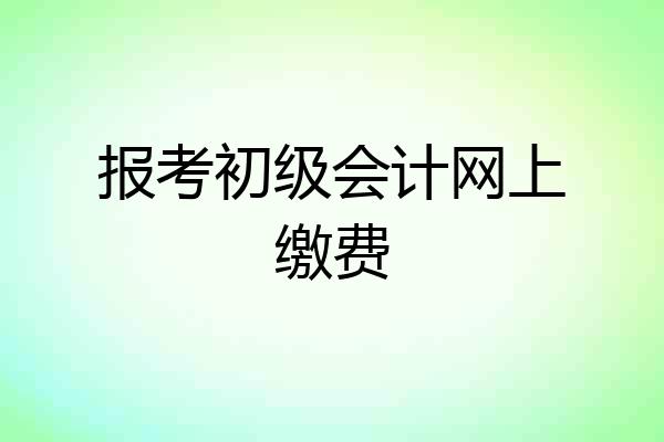 报考初级会计网上缴费