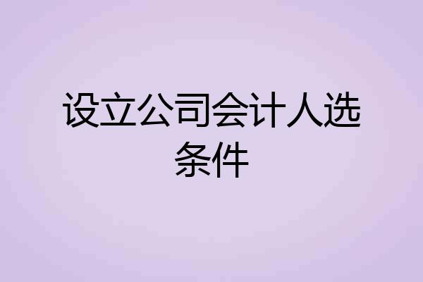 设立公司会计人选条件