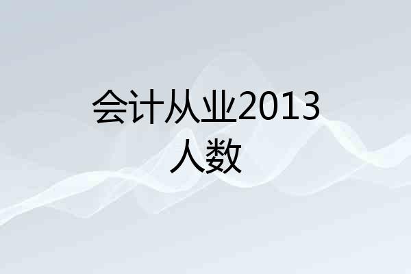 会计从业2013人数