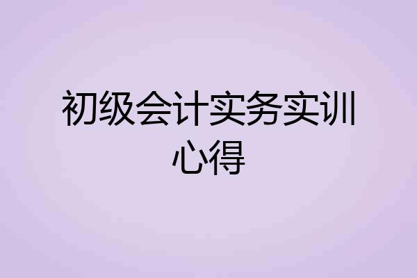 初级会计实务实训心得