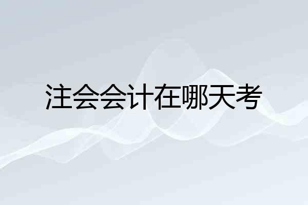 注会会计在哪天考