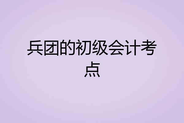 兵团的初级会计考点