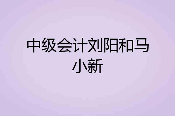 中级会计刘阳和马小新