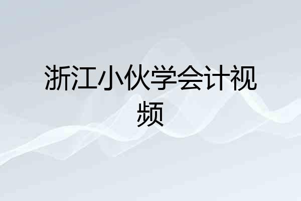 浙江小伙学会计视频