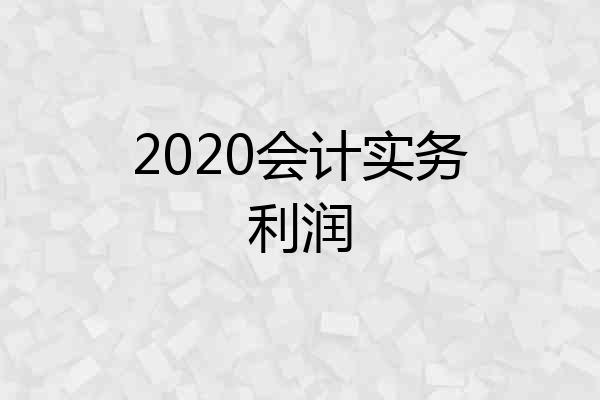 2020会计实务利润
