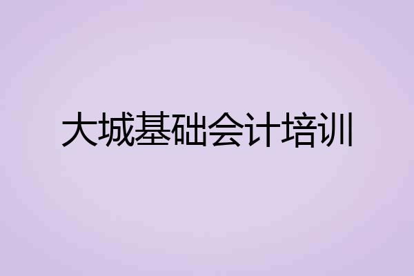 大城基础会计培训