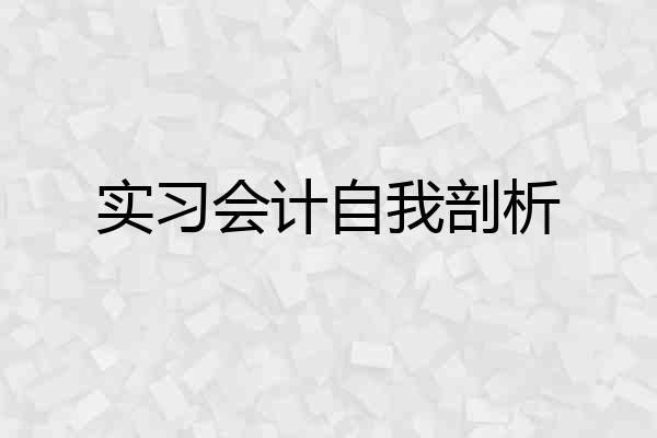 实习会计自我剖析