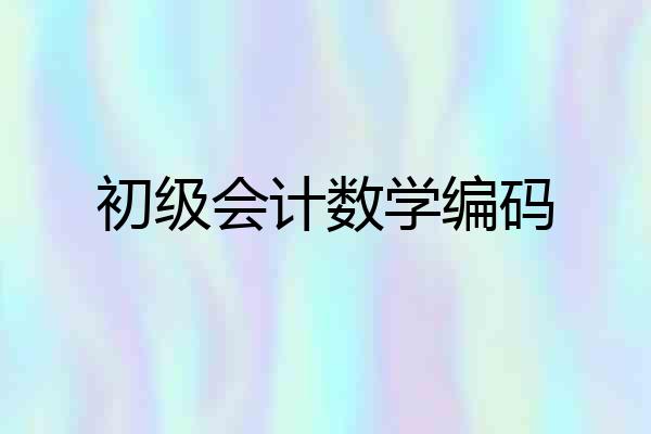 初级会计数学编码