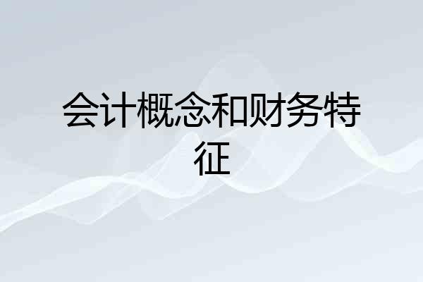 会计概念和财务特征