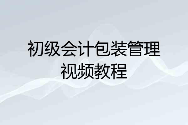 初级会计包装管理视频教程