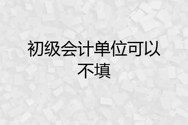 初级会计单位可以不填