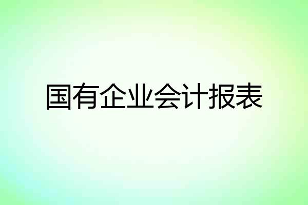 国有企业会计报表