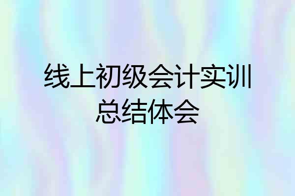 线上初级会计实训总结体会