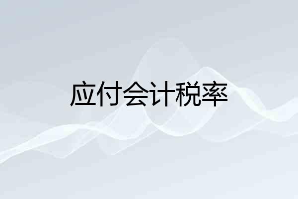 应付会计税率