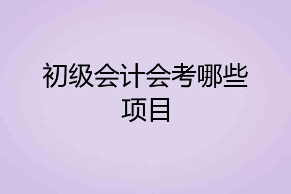 初级会计会考哪些项目