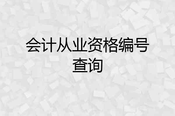 会计从业资格编号查询