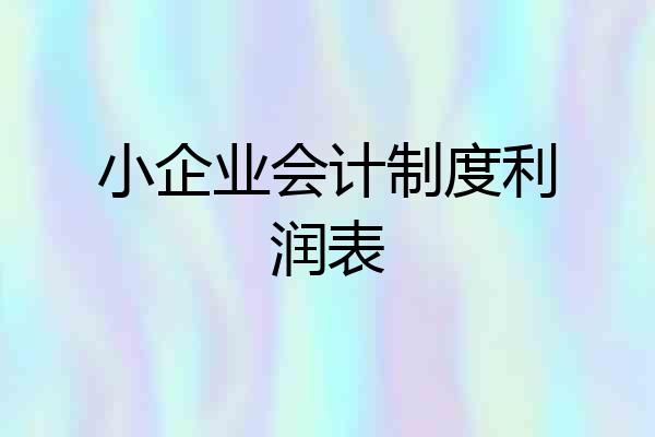 小企业会计制度利润表