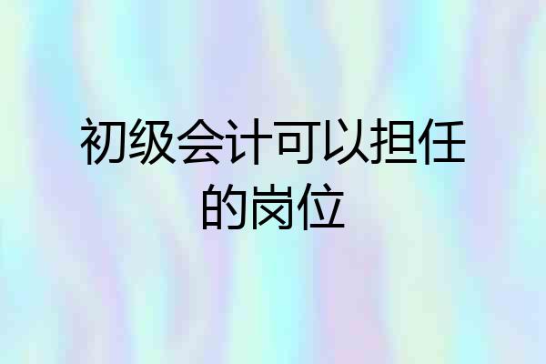 初级会计可以担任的岗位
